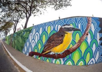 Cidade ilustrada em Alcântara