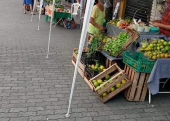 Agricultura Familiar nas Escolas de São Gonçalo