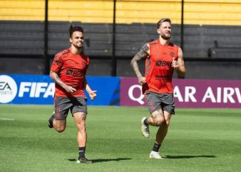 Palmeiras e Flamengo