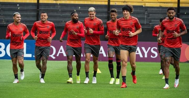 Flamengo e Palmeiras na Libertadores