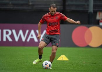 Flamengo e Palmeiras