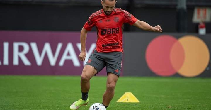 Flamengo e Palmeiras