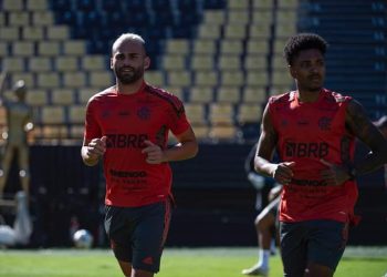 Flamengo e Palmeiras na Libertadores