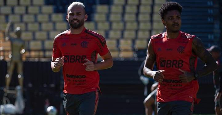 Flamengo e Palmeiras na Libertadores