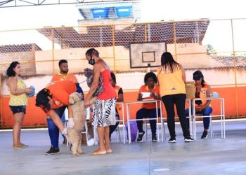 Belford Roxo promove Vacinação antirrabica