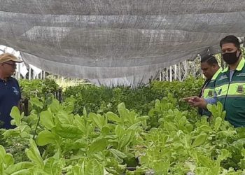 Secretario de Pesca Roberto Sales