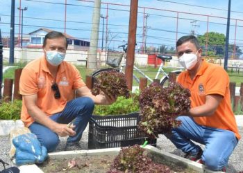 Hortaliças no Município de Maricá