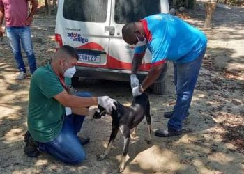 Vacinação de Animais em Maricá