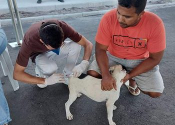 Vacinação antirrabica em Maricá