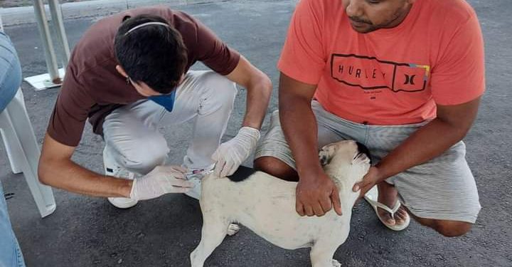 Vacinação antirrabica em Maricá