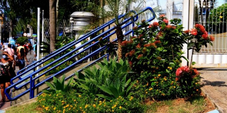 Paisagismo em São Gonçalo