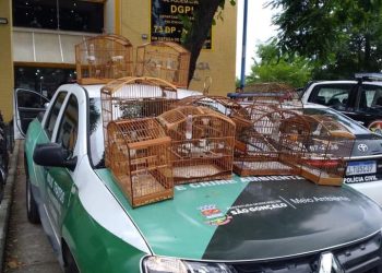 Regaste de animais silvestres