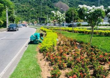 Paisagismo na Cidade de Niterói