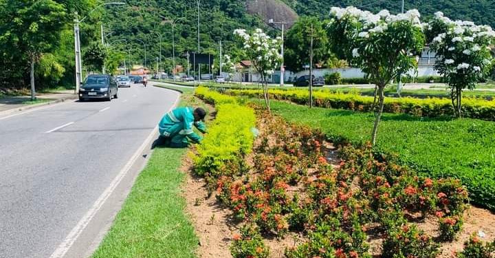 Paisagismo na Cidade de Niterói