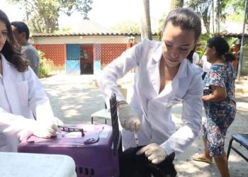 Vacinação Antirrabica em Niterói