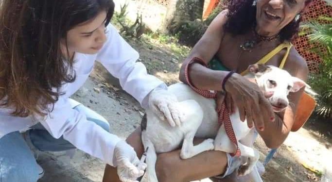 Vacinação de animais doméstico em Niterói