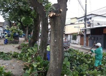 Poda de árvores na Cidade de São Gonçalo