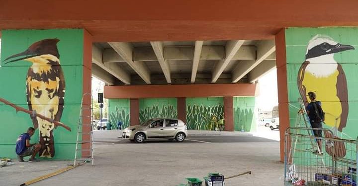 Grafite no Viaduto do Jardim Catarina