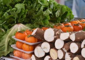 Feira Agroecológica de Maricá