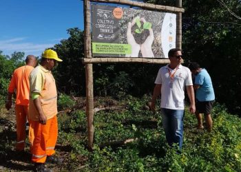 Áreas verdes da cidade de Niterói