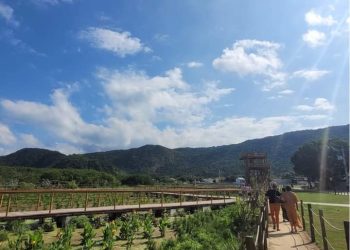 Parque da Orla de Piratininga