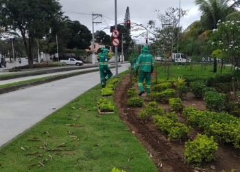Niterói valorizando o Meio Ambiente
