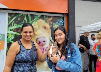 Feira de Adoção de animais Maricá