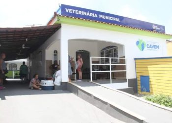 Castração gratuita de cães e gatos em São Gonçalo