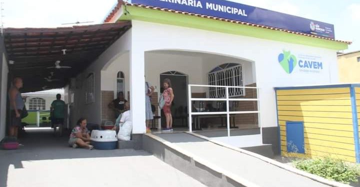 Castração gratuita de cães e gatos em São Gonçalo