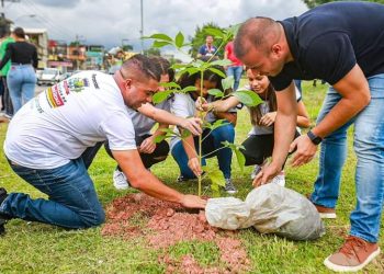 Projeto Replantar de Belford Roxo