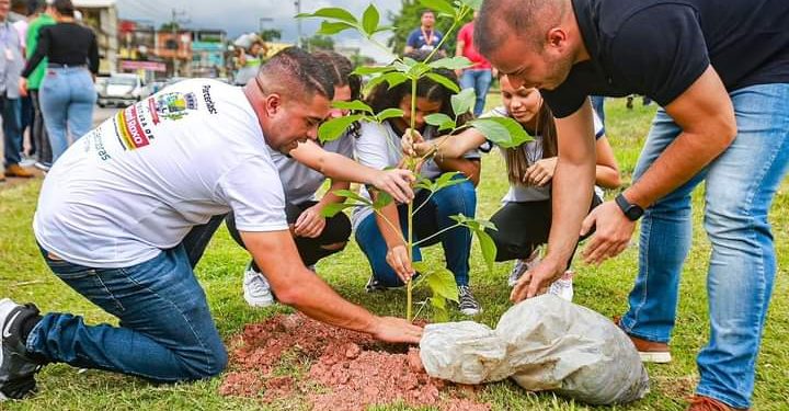 Projeto Replantar de Belford Roxo