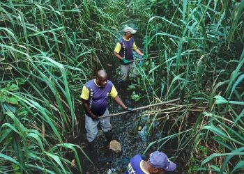 Limpeza nos rios de Niterói