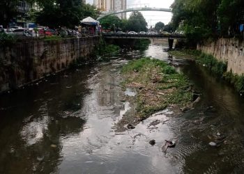 Semana dpo Meio Ambiente São Gonçalo