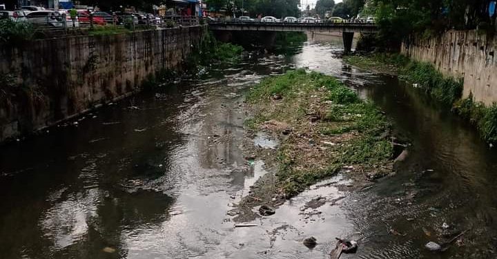 Semana dpo Meio Ambiente São Gonçalo