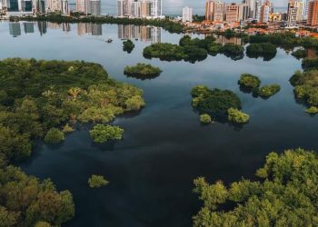 São Luís, Maranhão e Ecologia