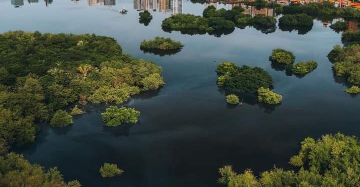 São Luís, Maranhão e Ecologia