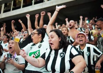 Botafogo é líder do Campeonato Brasileiro