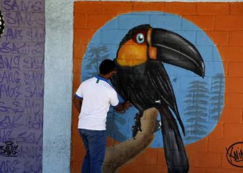 Arte Urbana nos muros de Nova Iguaçu