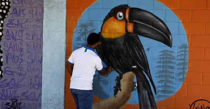 Arte Urbana nos muros de Nova Iguaçu