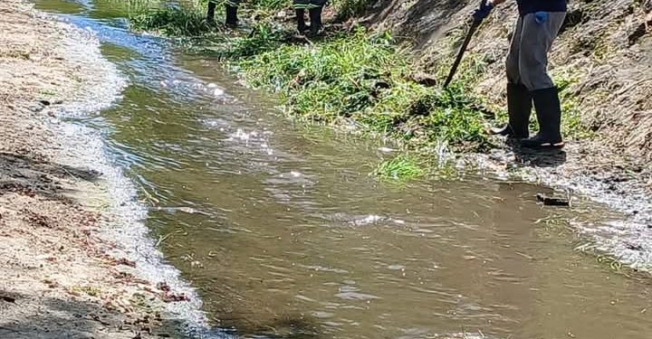 Programa Cidade Limpa avança em Niterói