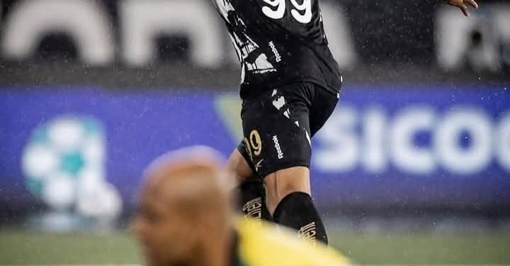 Primeira vitória do Botafogo no Brasileirão 2025