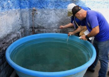 Combate a Dengue em São Gonçalo