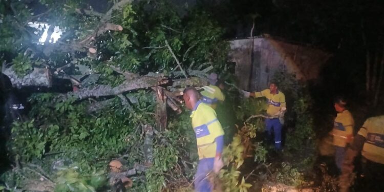 Limpeza no pós chuvas em Santa Izabel